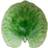 Costa Nova Riviera 17.5cm Green Serving Dish