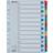 Esselte Register Mylar 1-12 A4
