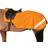 Hy Equestrian viz Reflector Horse Exercise Sheet - Orange