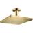 Hansgrohe Raindance E300 (722507415) Krom, Guld