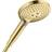 Hansgrohe Raindance Select S (26531990) Guld
