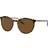 Ray-Ban Polarized Solbriller Mænd Tortoiseshell - Transparent