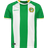 Craft HAMMARBY PRE SEASON JERSEY HIF GREEN/WHITE Dam