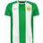 Craft HAMMARBY REPLICA PRE SEASON JERSEY HIF GREEN/WHITE Dam