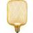 LEDVANCE LED Lampa E27 Square Guld 300lm 3.5W