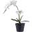 House Nordic Grøn Hivd H:49 cm Kunstig plante