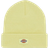 Dickies Gibsland Beanie Unisex - Pale Green