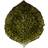 Costa Nova Riviera Hydrangea Leaf Forêts Green Dinner Plate 22cm