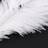 Tlily 200 Pieces White Natural Ostrich Feather