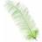 Neel Blue Mint Natural Ostrich Feathers 5 Pcs