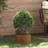 Berkfield Home Corten Steel Pot Set Medium Brown
