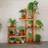 Neo 6 Tier Wooden Indoor Outdoor Shelf Display Rack