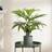 Scottish Everlastings 60cm Palm Tree Artificial Plant