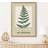 Artze Wall Green Beige Fern Flower Market A3 Framed Art