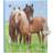 Depesche Miss Melody Dagbog 2 Heste