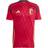 adidas Belgium 2024/25 Home Shirt Team Coll Burgundy Mens