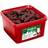 Nordthy Juleskum Choco 800g