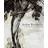 Arthur Rackham (Hardcover, 2011)