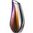 Kosta Boda Orchid Vase 29cm