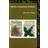 Being Singular Plural (Paperback, 2001)