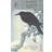 All of Us: The Collected Poems (Paperback, 1997)