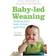 Baby-led Weaning: Helping Your Baby to Love Good Food (Häftad, 2008)