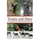 Tracks and Signs of the Animals and Birds of Britain and Europe (Häftad, 2013)