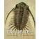 The Trilobite Book (Inbunden, 2014)