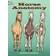 Horse Anatomy Coloring Book (Dover Nature Coloring Book) (Paperback, 2006)