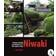 Niwaki: Pruning, Training and Shaping Trees the Japanese Way (Hardcover, 2007)