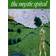 The Mystic Spiral (Paperback, 1974)