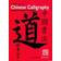 Chinese Calligraphy: Standard Script for Beginners (Häftad, 2004)