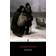Dead Souls (Paperback, 2004)