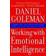 Working with Emotional Intelligence (Paperback, 2000)