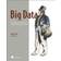 Big Data: Principles and Best Practices of Scalable Realtime Data Systems (Häftad, 2015)