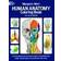 Human Anatomy (Häftad, 1982)