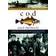 Cod: A Biography of the Fish That Changed the World (Paperback, 1998)