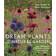 Dream Plants for the Natural Garden (Hæftet, 2013)