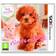 Nintendogs + Cats: Toy Poodle & New Friends (3DS)