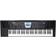 Roland Synthetiseur BK-3 Noir