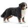 Schleich Bernese Mountain Dog female 16397