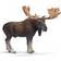 Schleich Älgtjur 14619