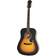 Epiphone Guitares acoustiques DR100 SUNBURST Folk