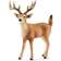Schleich Whitetail-hjort 14709