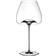 Zieher Vision Balanced Red Wine Glass, White Wine Glass 85cl 2pcs