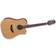 Takamine GD20CE-NS