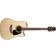 Takamine GD51CE