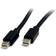 StarTech DisplayPort Mini - DisplayPort Mini 1m