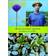 Derek Jarman's Garden (Paperback, 1995)