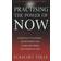 Practising the Power of Now (Hæftet, 2002)